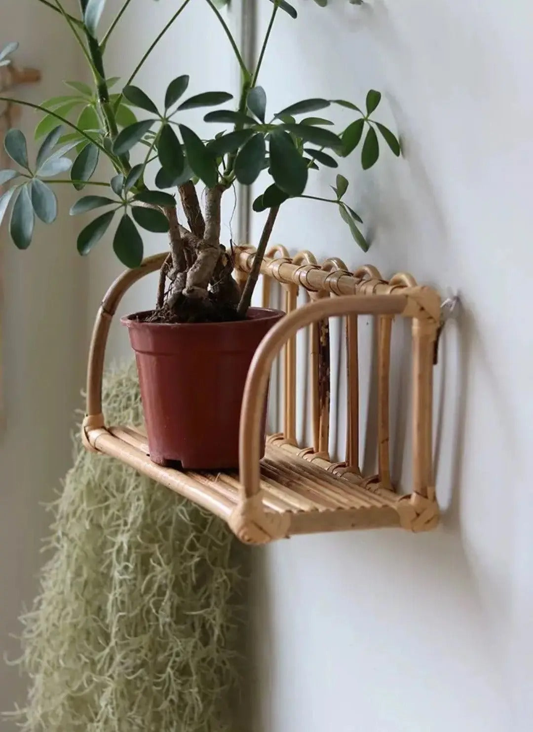 Étagère Murale Rotin En Bambou À Fixations Invisibles